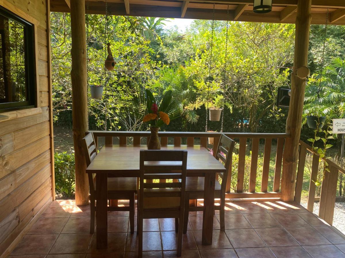 Uvita Oasis Retreat With Villa Cabins And Apartment Екстер'єр фото