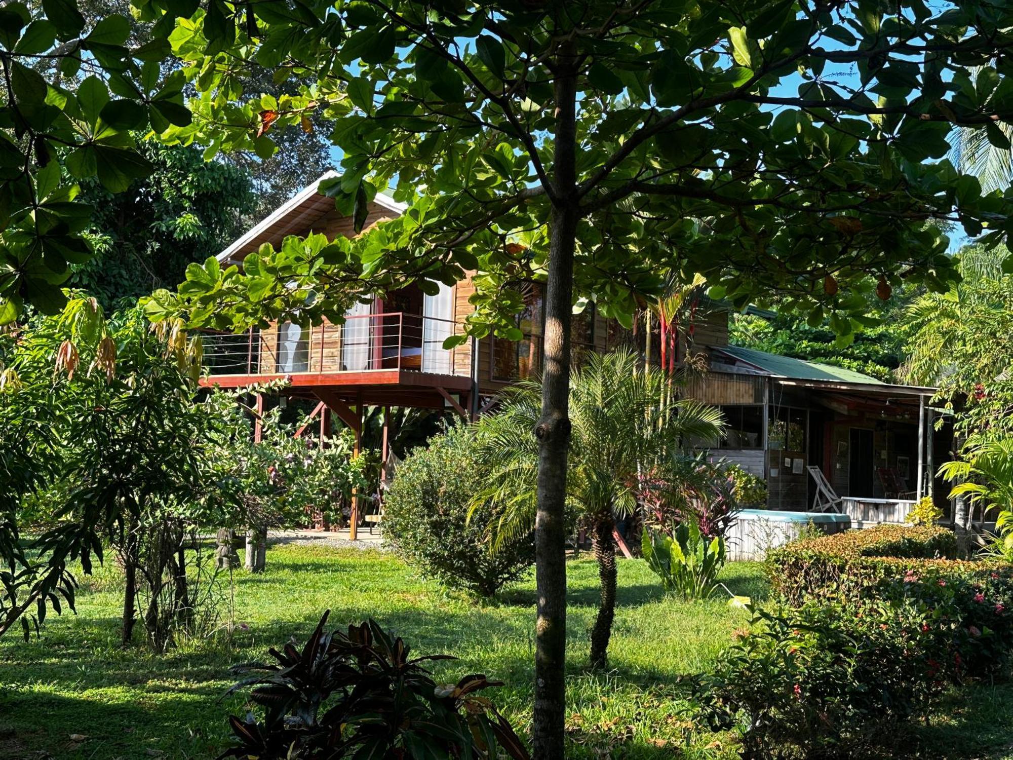 Uvita Oasis Retreat With Villa Cabins And Apartment Екстер'єр фото