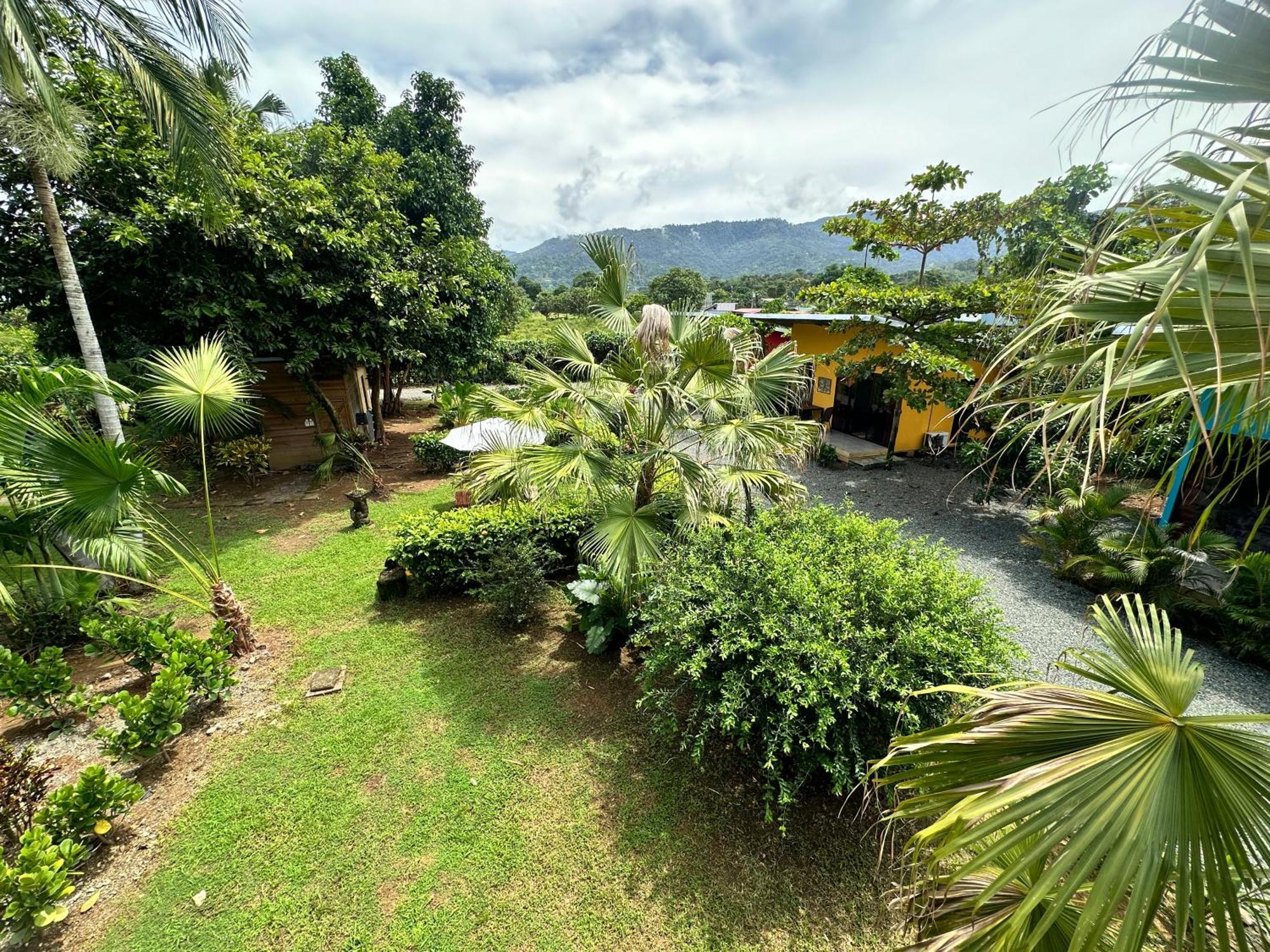 Uvita Oasis Retreat With Villa Cabins And Apartment Екстер'єр фото