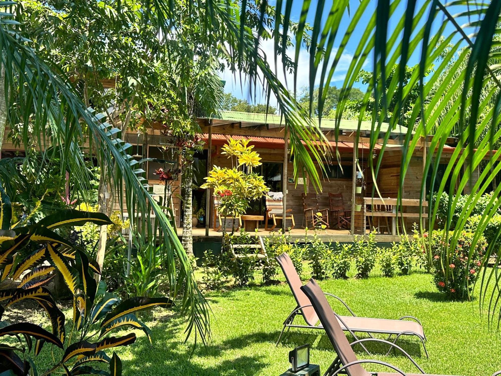 Uvita Oasis Retreat With Villa Cabins And Apartment Екстер'єр фото
