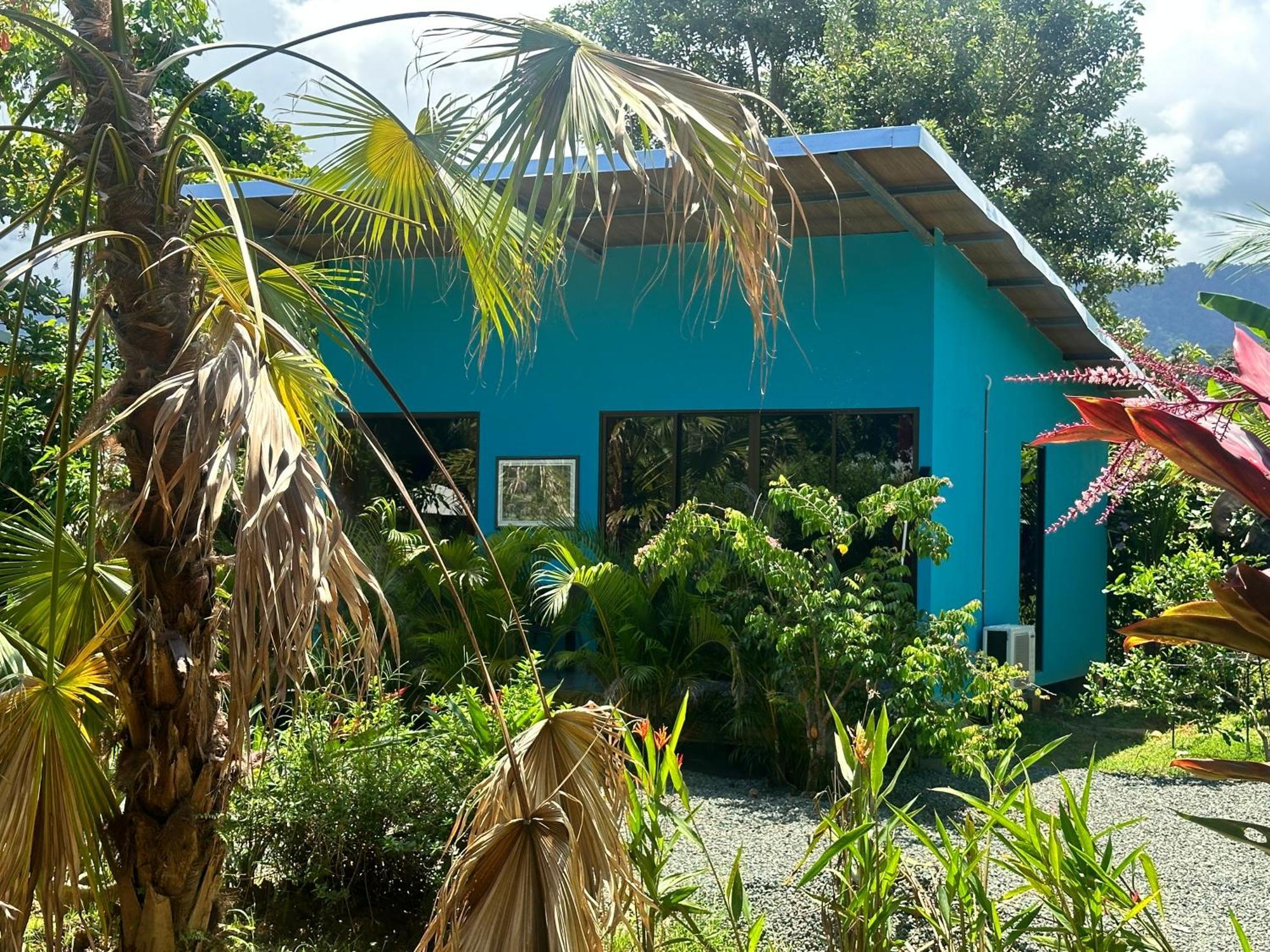Uvita Oasis Retreat With Villa Cabins And Apartment Екстер'єр фото