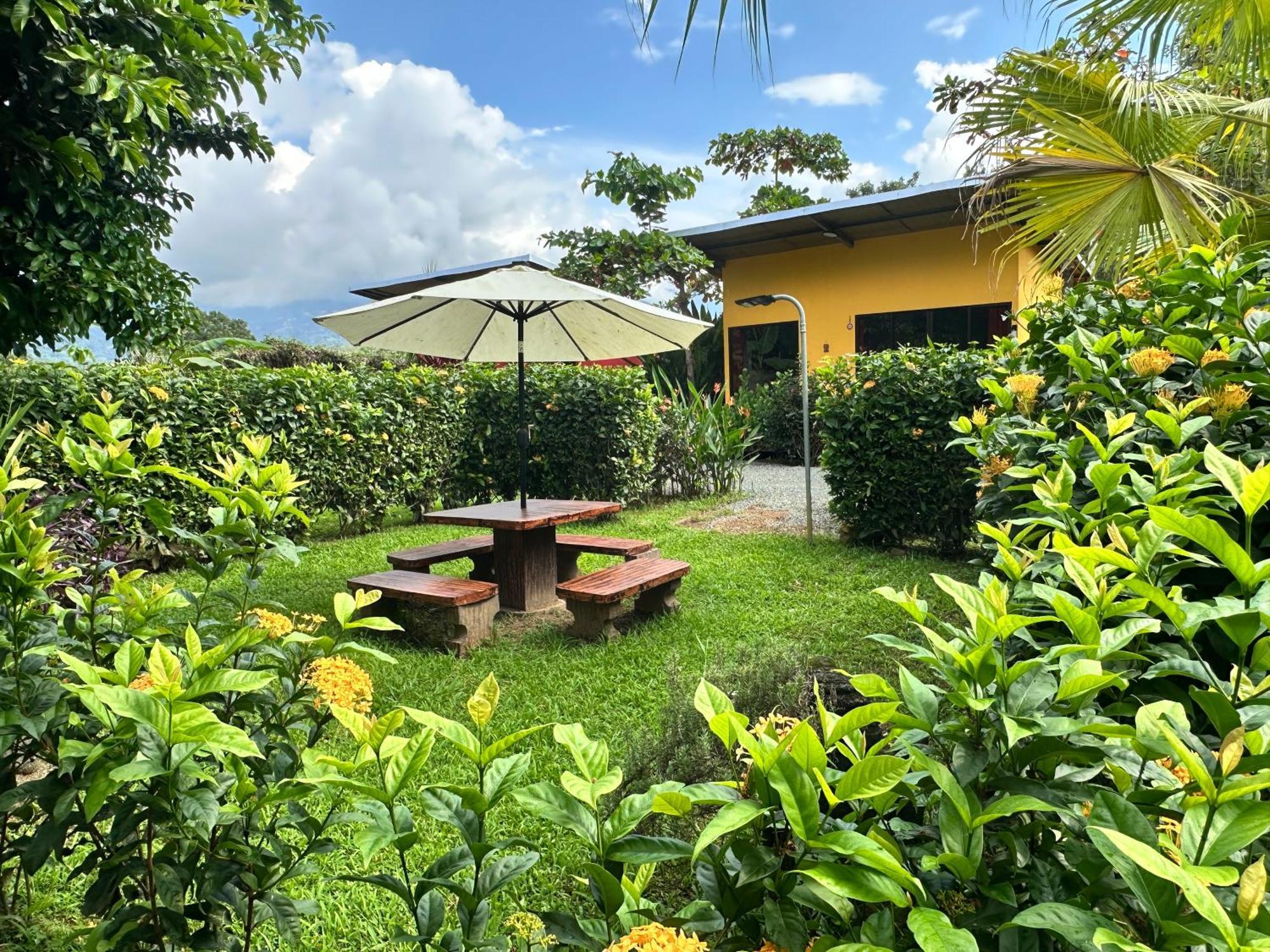 Uvita Oasis Retreat With Villa Cabins And Apartment Екстер'єр фото