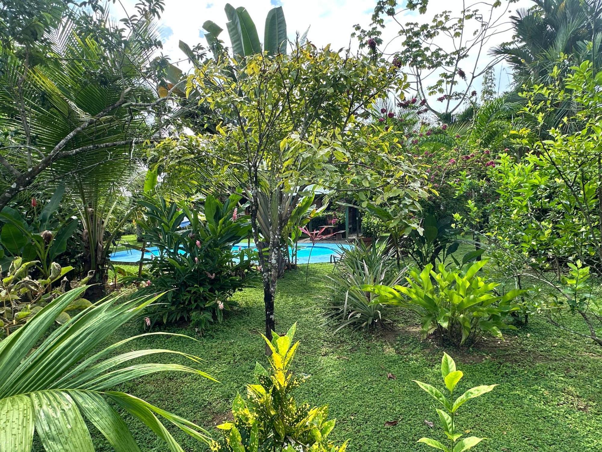 Uvita Oasis Retreat With Villa Cabins And Apartment Екстер'єр фото