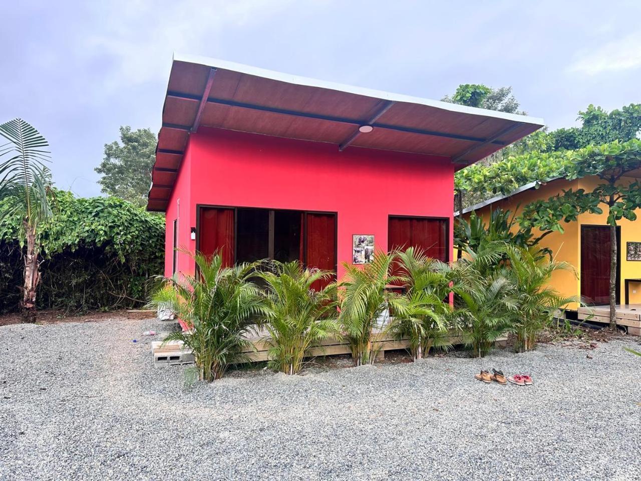 Uvita Oasis Retreat With Villa Cabins And Apartment Екстер'єр фото
